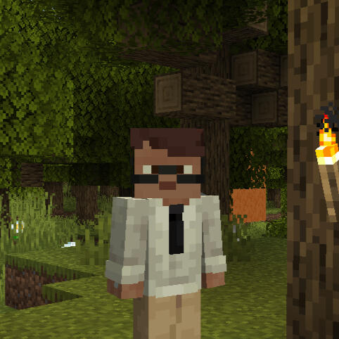 Vissom Skin
